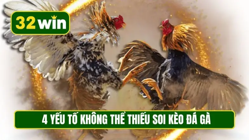 4 yếu tố không thể thiếu soi kèo đá gà