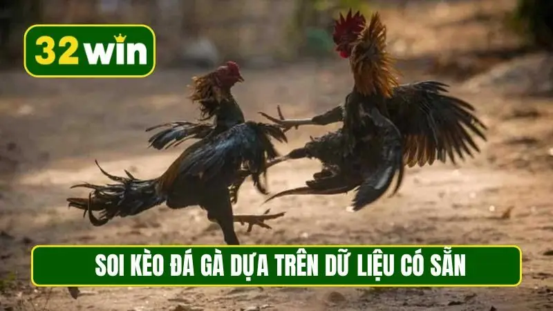 Soi kèo đá gà dựa trên dữ liệu có sẵn